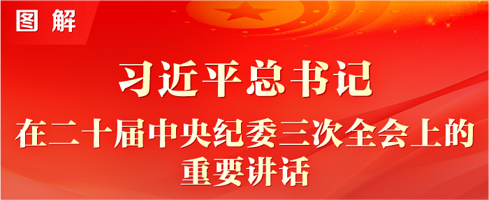 图解|二十届中央纪委三次全会工作汇报